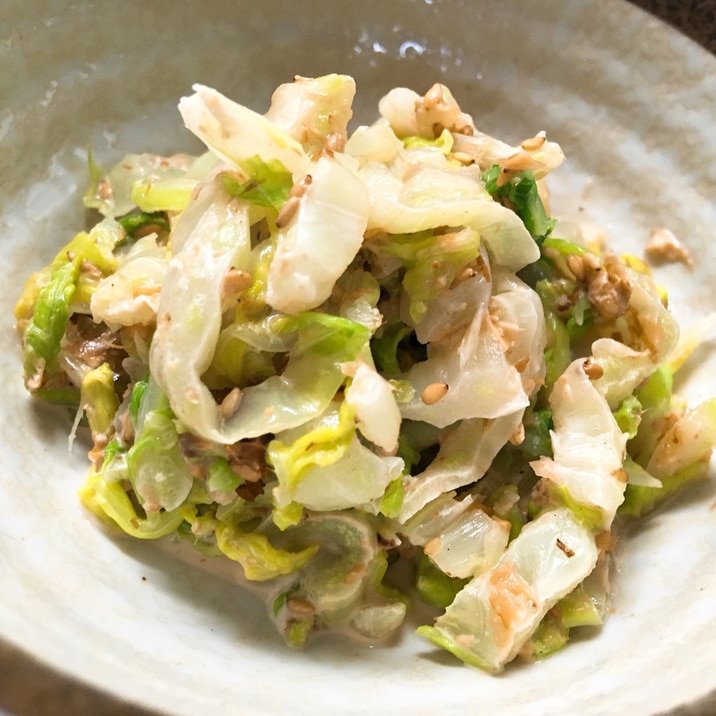 簡単 美味しい 白菜サラダ レシピ 作り方 By モコタイ 楽天レシピ 簡単 美味しい 白菜サラダ レシピ 作り方 By モコタイ 楽天レシピ